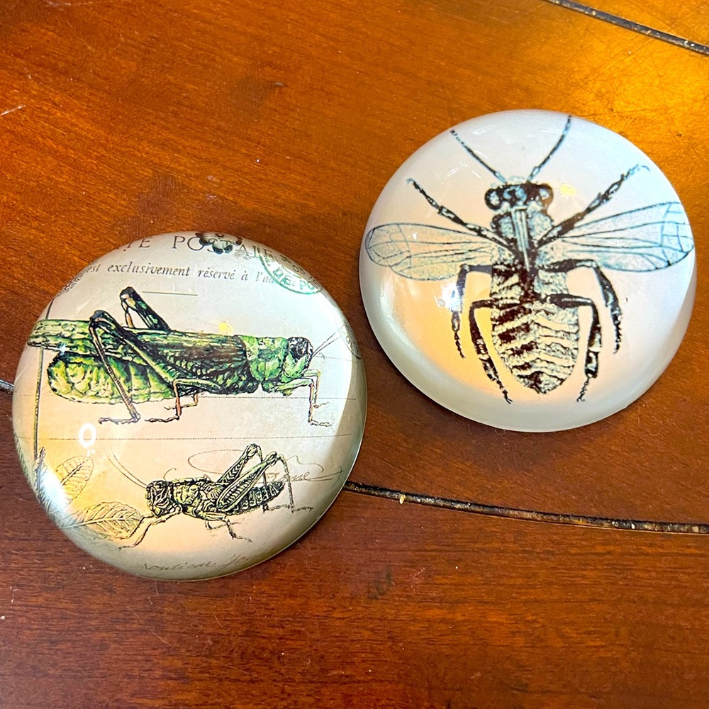 Pair of domed insect themed paper weights